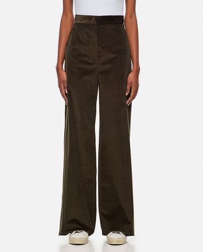 Tritone Velvet Flared Pants - Max Mara - Modalova