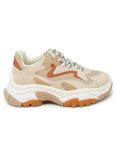 Ash Beige Leather Addict Sneakers - Ash - Modalova