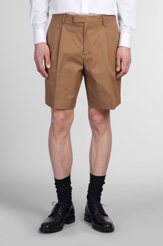 Lardini Shorts In Camel Cotton - Lardini - Modalova