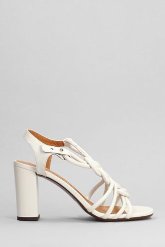 Bane Sandals In Leather - Chie Mihara - Modalova