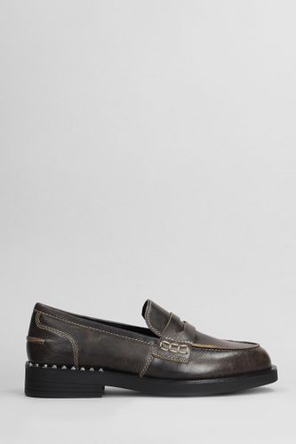 Ash Winona Loafers In Black Leather - Ash - Modalova