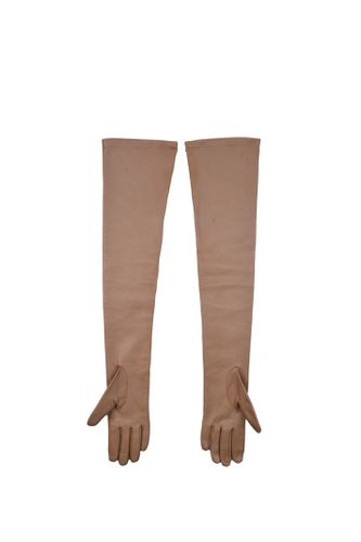 Max Mara Amica Gloves - Max Mara - Modalova