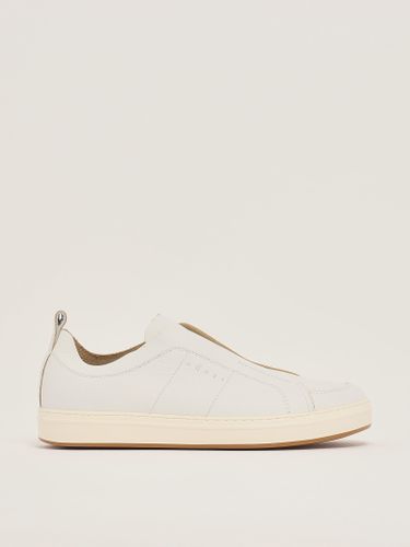 Hogan H668 Slip On Sneaker - Hogan - Modalova