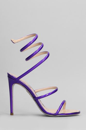 Cleo Metallic Sandals In Leather - René Caovilla - Modalova