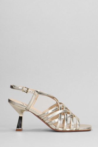 Dream Sandals In Leather - Roberto Festa - Modalova