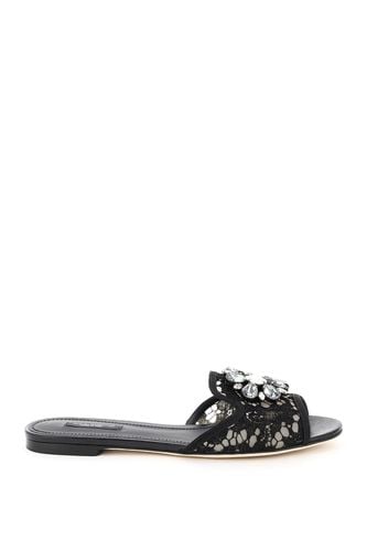 Taormina Lace Slipper - Dolce & Gabbana - Modalova