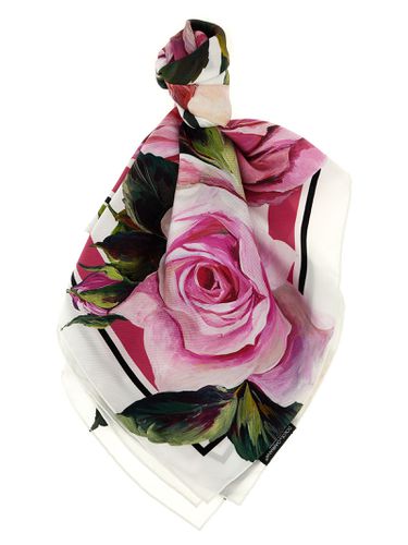 Dolce & Gabbana Silk Scarf - Dolce & Gabbana - Modalova