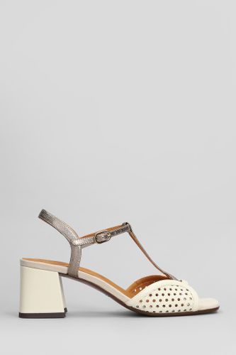 Sandals In Leather - Chie Mihara - Modalova