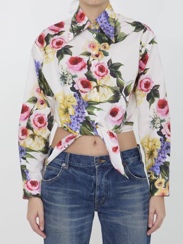 Giardino Print Shirt - Dolce & Gabbana - Modalova