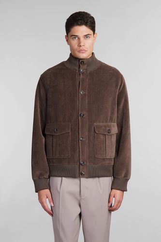 Circolo 1901 Bomber In Brown Cotton - Circolo 1901 - Modalova