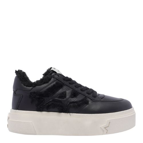 Ash Sailor Sneakers - Ash - Modalova