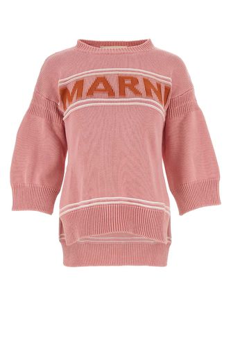 Marni Pink Cotton Sweater - Marni - Modalova