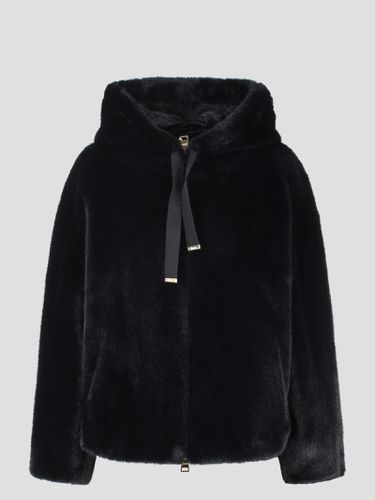 Herno Fur Bomber Jacket - Herno - Modalova