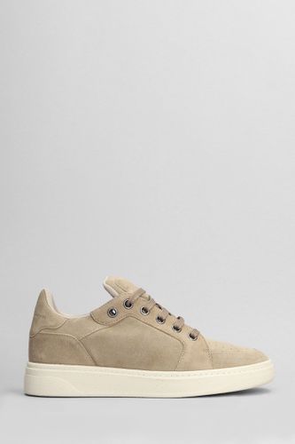 Gz94 Sneakers In Suede - Giuseppe Zanotti - Modalova