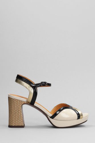 Keny Sandals In Leather - Chie Mihara - Modalova
