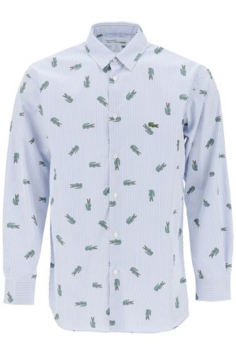 X Lacoste Oxford Shirt With Crocodile Motif - Comme des Garçons Shirt - Modalova