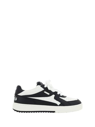 Palm University Sneakers - Palm Angels - Modalova