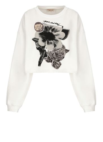 Marni Printed Sweatshirt - Marni - Modalova