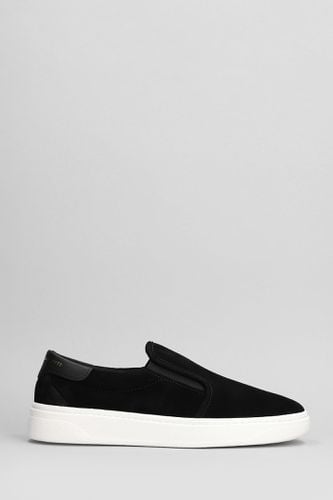 Sneakers In Suede - Giuseppe Zanotti - Modalova