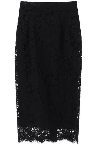 Midi Lace Pencil Skirt - Dolce & Gabbana - Modalova