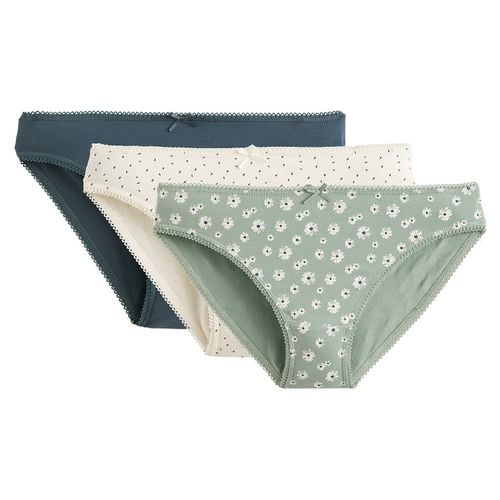 Confezione da 3 slip in cotone elasticizzato - LA REDOUTE COLLECTIONS - Modalova