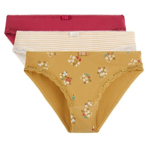 Confezione da 3 slip in cotone elasticizzato - LA REDOUTE COLLECTIONS - Modalova