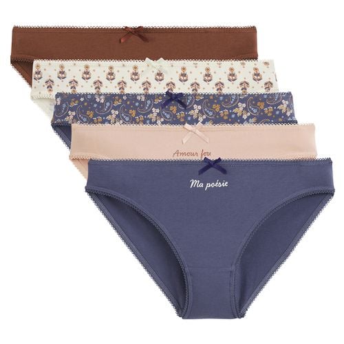 Confezione da 5 slip in cotone elasticizzato - LA REDOUTE COLLECTIONS - Modalova