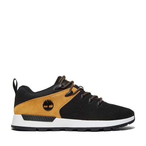 Sneakers Sprint Trekker Low - TIMBERLAND - Modalova