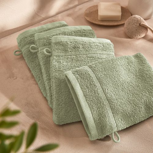 Confezione Da 4 Guanti Da Toilette 600 G/m² Taglie 15 x 21 cm - la redoute interieurs - Modalova