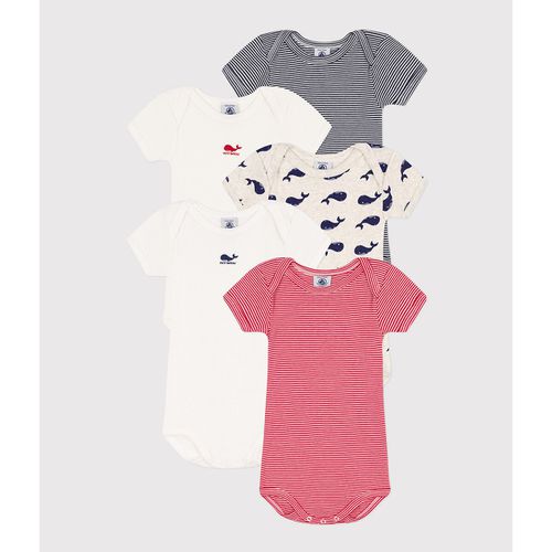 Confezione da 5 body maniche corte - PETIT BATEAU - Modalova