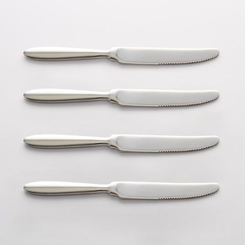 Confezione da 4 coltelli inox, RAKINEN - LA REDOUTE INTERIEURS - Modalova