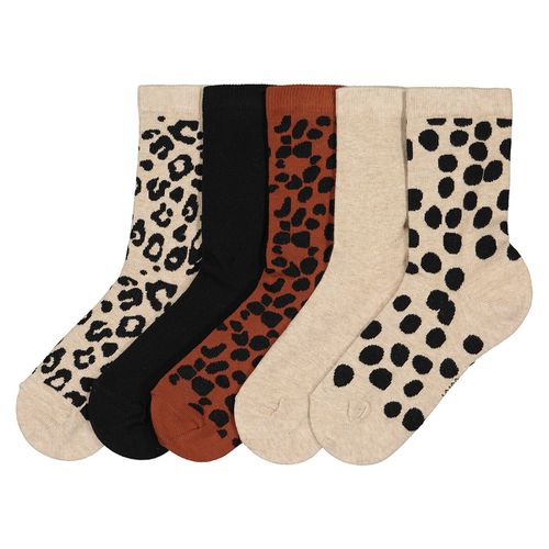 Confezione da 5 paia di calze, animalier - LA REDOUTE COLLECTIONS - Modalova