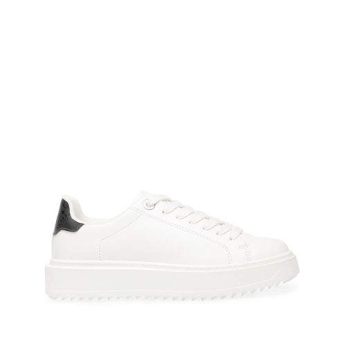 Sneakers Catcher - STEVE MADDEN - Modalova