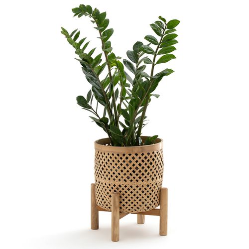 Porta-vaso su supporto in bambù H35 cm Bambu - LA REDOUTE INTERIEURS - Modalova