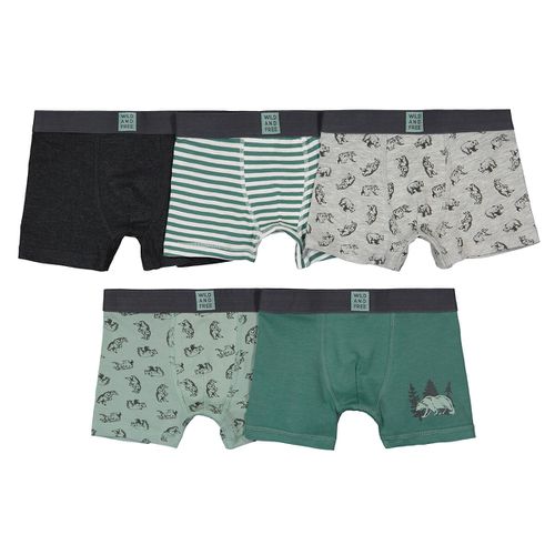 Confezione da 5 boxer in cotone stampa orso - LA REDOUTE COLLECTIONS - Modalova