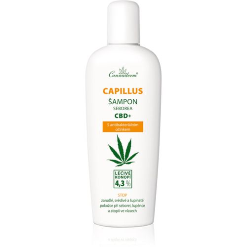 Seborea CBD+ champú anticaspa 150 ml - Cannaderm - Modalova