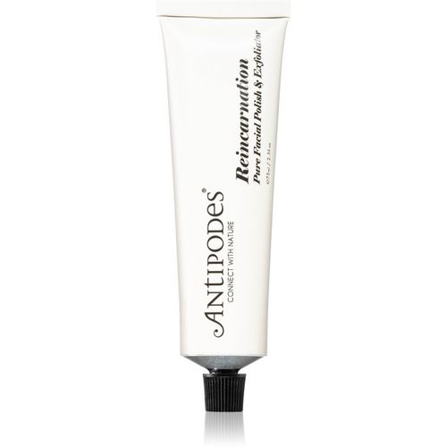 Reincarnation Pure Facial Polish & Exfoliator sanftes Haut-Peeling 75 ml - Antipodes - Modalova