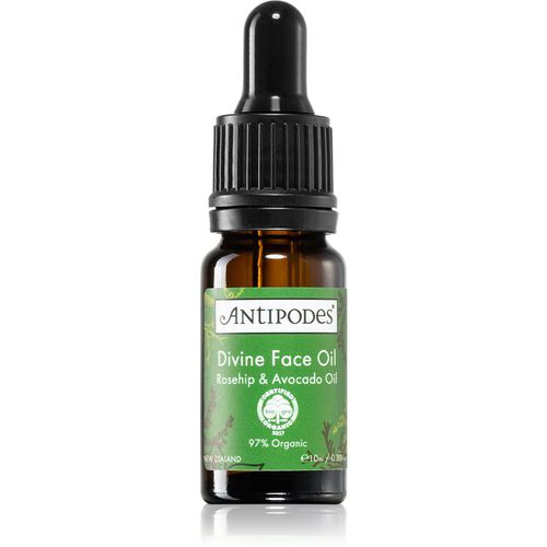 Divine Face Oil Rosehip & Avocado Oil sérum protector para las primeras señales de envejecimiento de la piel 10 ml - Antipodes - Modalova