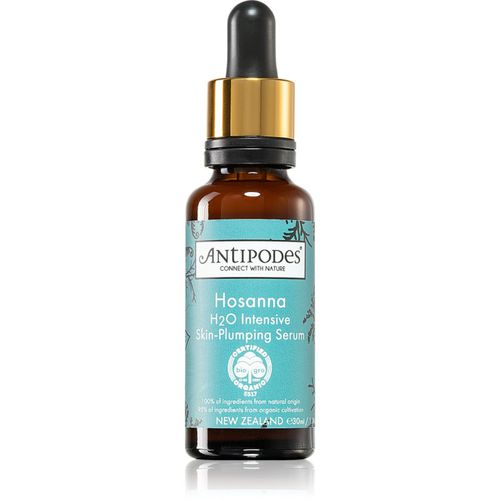 Hosanna H₂O Intensive Skin-Plumping Serum intensives, hydratisierendes Serum für das Gesicht 30 ml - Antipodes - Modalova