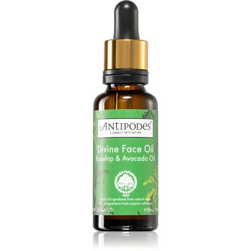 Divine Face Oil Rosehip & Avocado Oil sérum protector para las primeras señales de envejecimiento de la piel 30 ml - Antipodes - Modalova