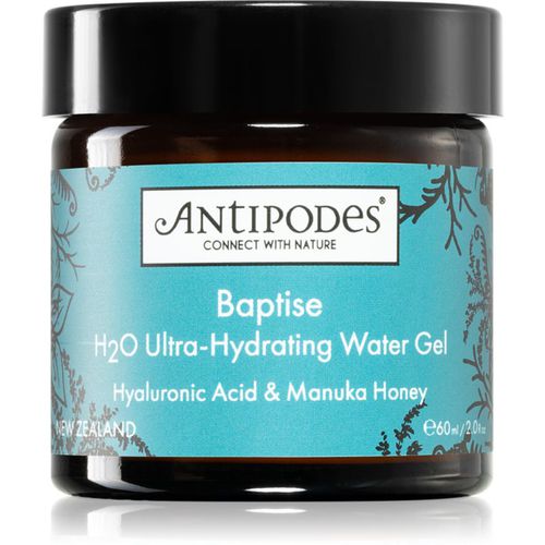 Baptise H₂O Ultra-Hydrating Water Gel leichte, feuchtigkeitsspendende Gel-Creme für das Gesicht 60 ml - Antipodes - Modalova