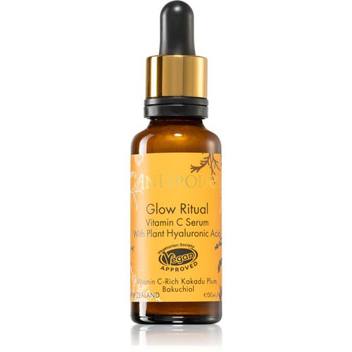 Glow Ritual Vitamin C Serum aufhellendes Serum gegen die ersten Anzeichen von Hautalterung 30 ml - Antipodes - Modalova