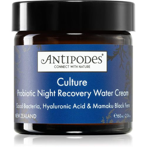 Culture Probiotic Night Recovery Water Cream crema de noche revitalizante intensa con probióticos 60 ml - Antipodes - Modalova