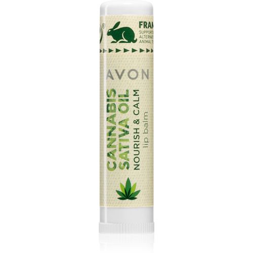 Cannabis Sativa Oil Nourish & Calm Lippenbalsam mit Hanföl 4,5 g - Avon - Modalova