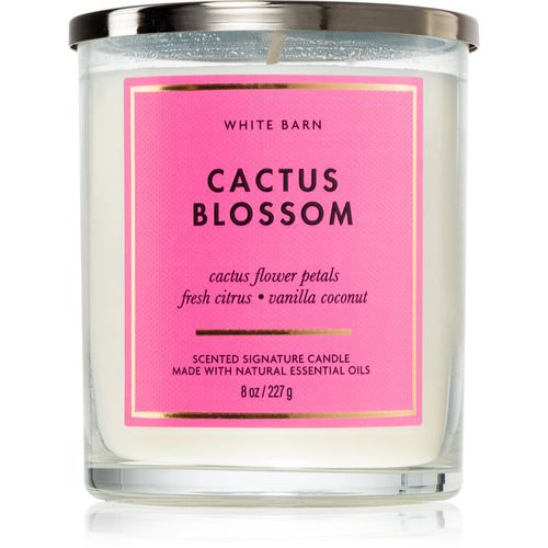 Cactus Blossom candela profumata 227 g - Bath & Body Works - Modalova