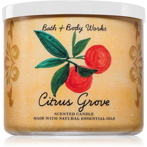 Citrus Grove candela profumata 411 g - Bath & Body Works - Modalova