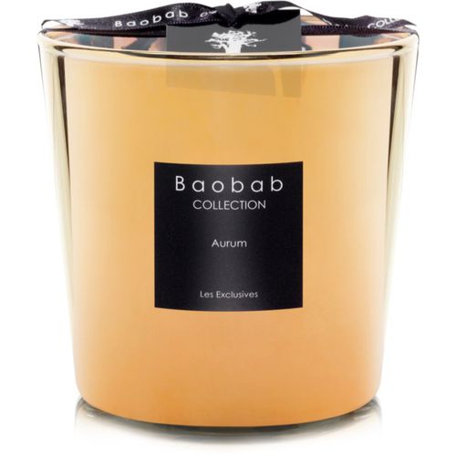 Les Exclusives Aurum vela perfumada 6.5 cm - Baobab Collection - Modalova