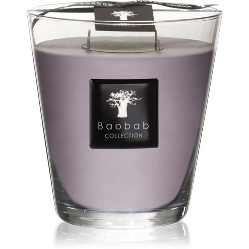 All Seasons White Rhino vela perfumada 16 cm - Baobab Collection - Modalova
