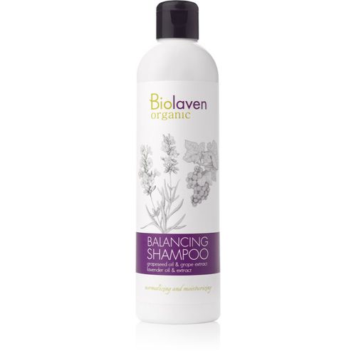 Hair Care champú normalizante para aportar hidratación y brillo 300 ml - Biolaven - Modalova