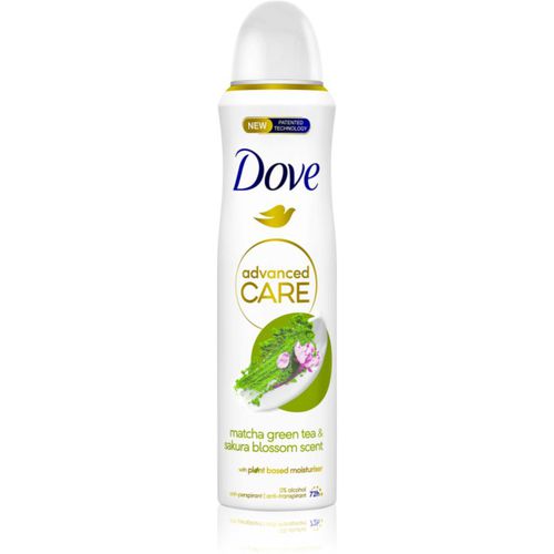 Advanced Care Antiperspirant antitranspirante 72h Matcha Green Tea & Sakura Blossom 150 ml - Dove - Modalova